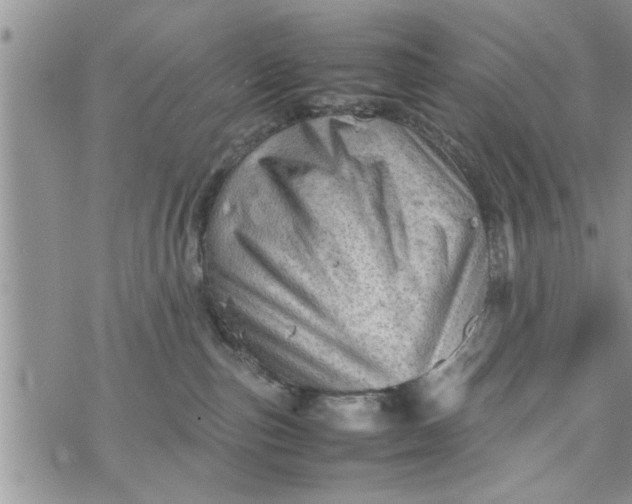 X0000075380187200609251201