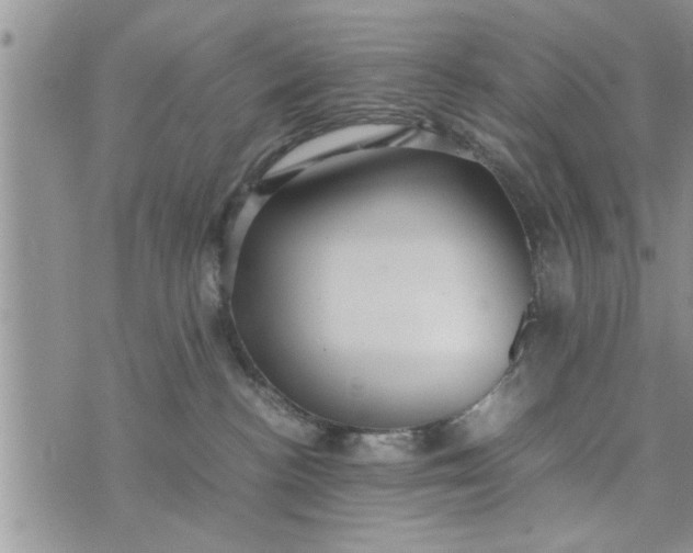 X0000075380188200609251201