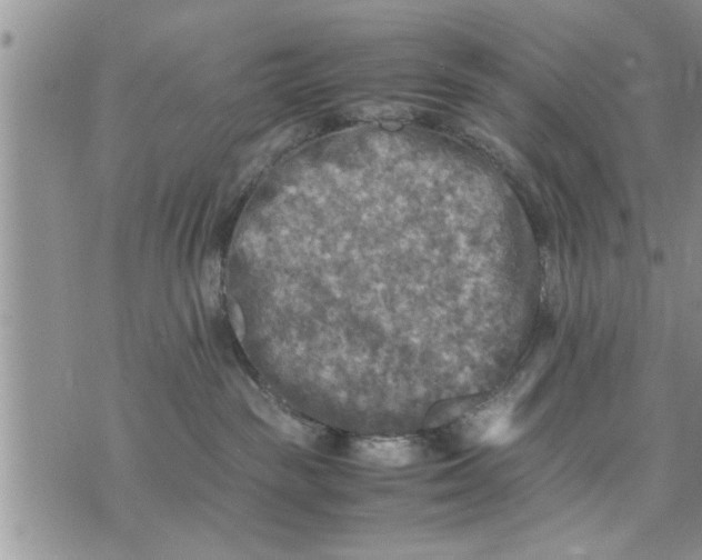 X0000075380189200609251201