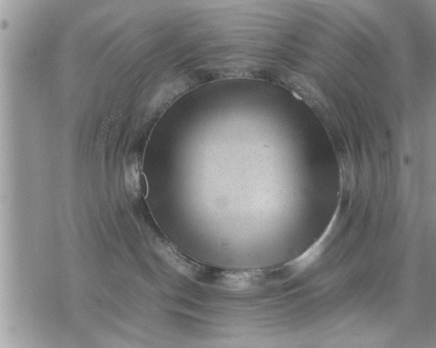 X0000075380190200609251201