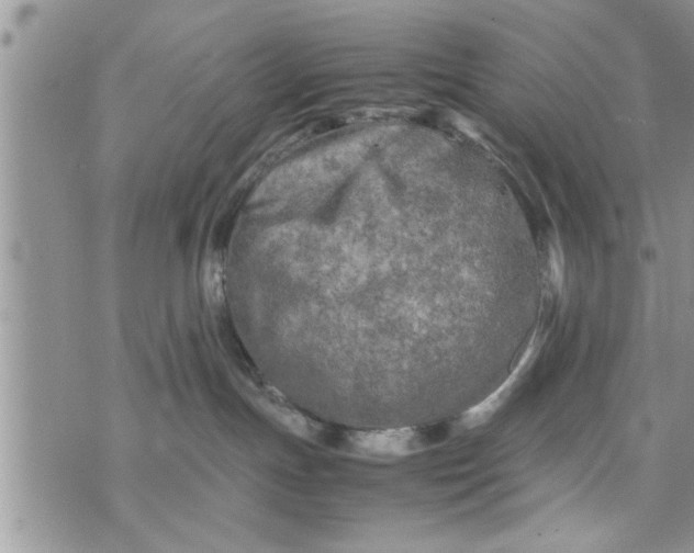 X0000075380191200609251201