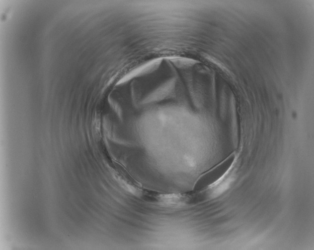 X0000075380192200609251201