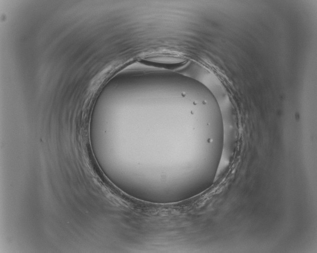 X0000075380193200609251201