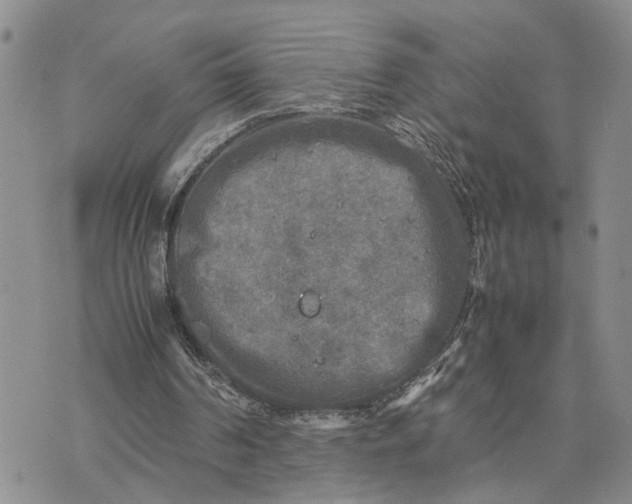 X0000075380194200609251201