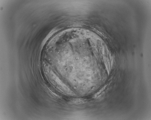 X0000075380195200609251201