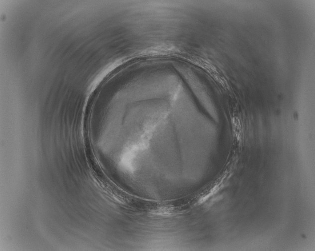 X0000075380196200609251201