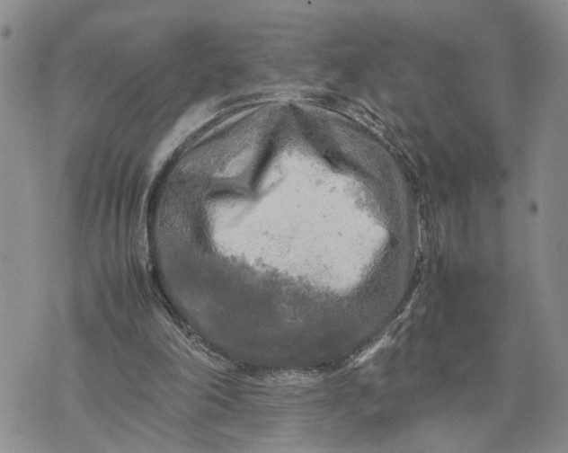 X0000075380198200609251200