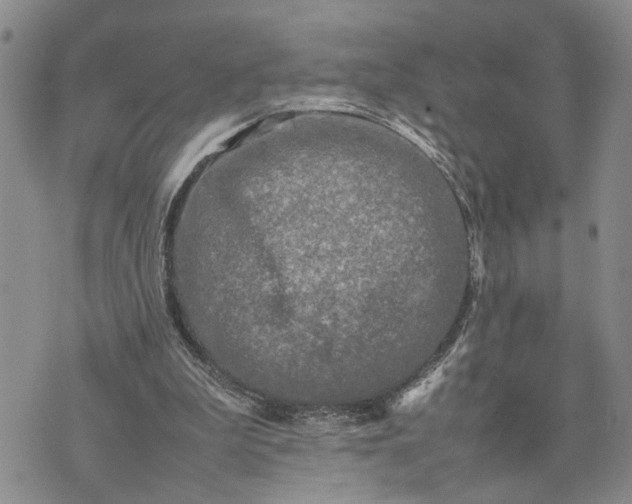 X0000075380199200609251200