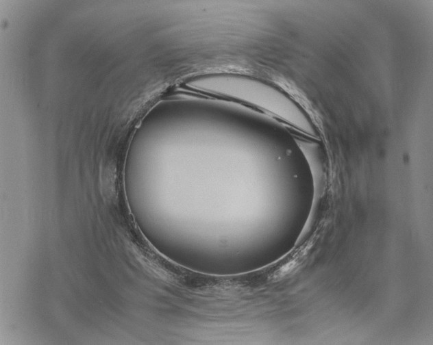 X0000075380201200609251200