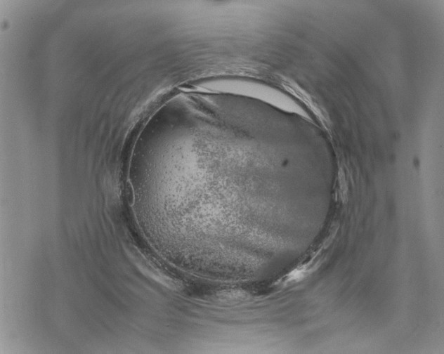 X0000075380203200609251200