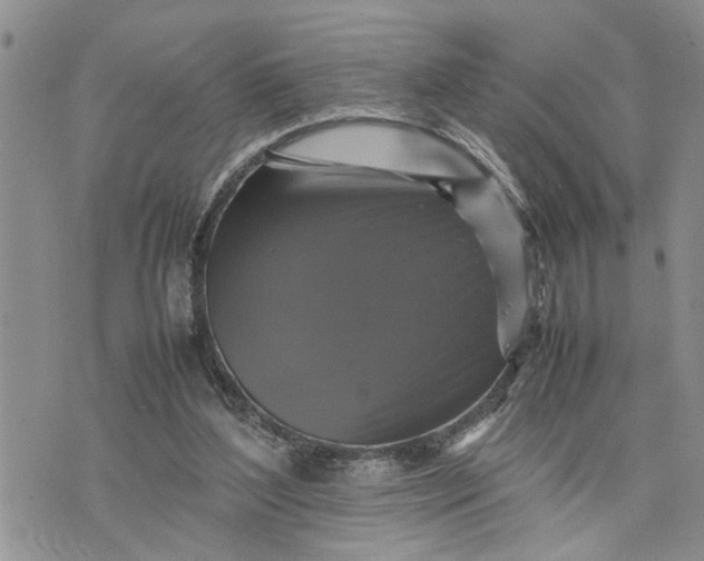 X0000075380204200609251200