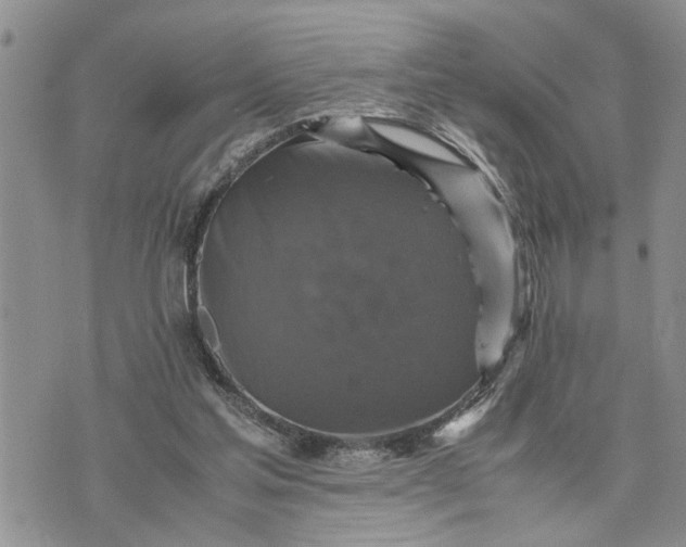 X0000075380205200609251200