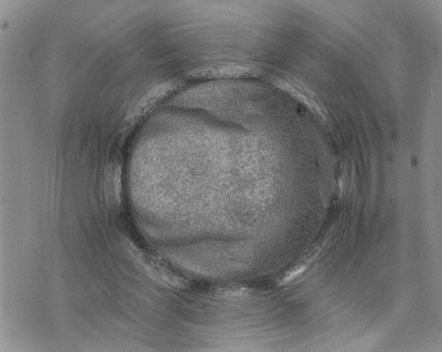 X0000075380206200609251200