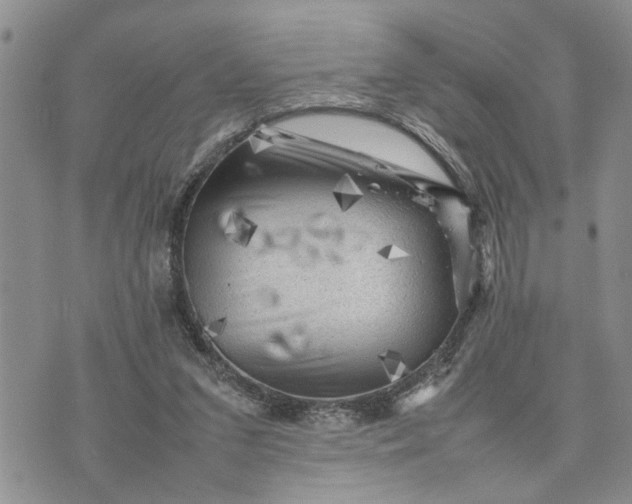 X0000075380207200609251200