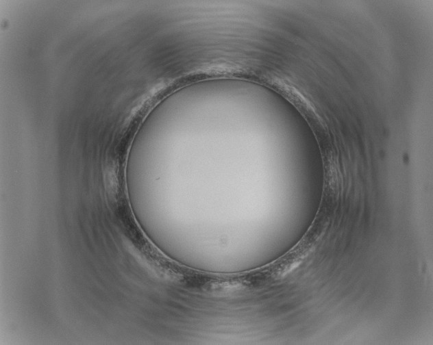 X0000075380208200609251200