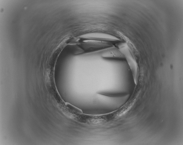 X0000075380209200609251200