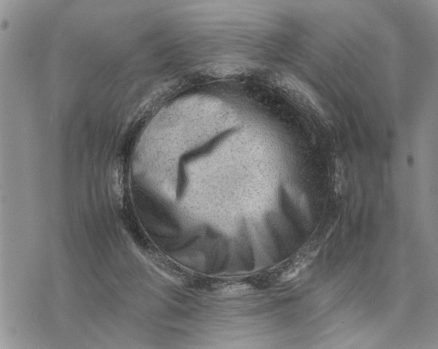 X0000075380210200609251200