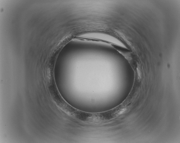 X0000075380211200609251200