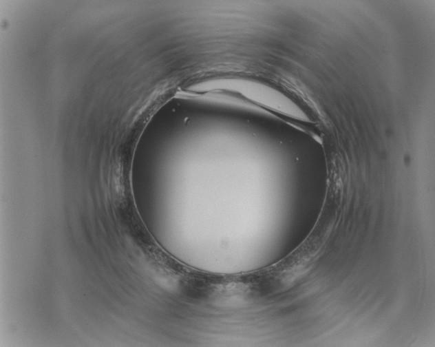 X0000075380212200609251200