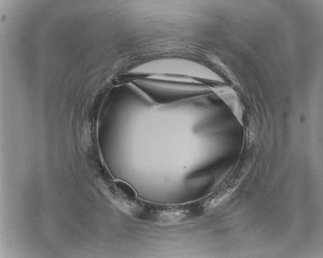 X0000075380213200609251200