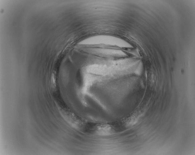 X0000075380214200609251200