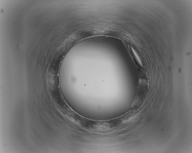 X0000075380215200609251200