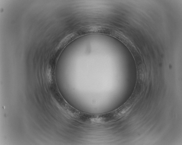 X0000075380216200609251200