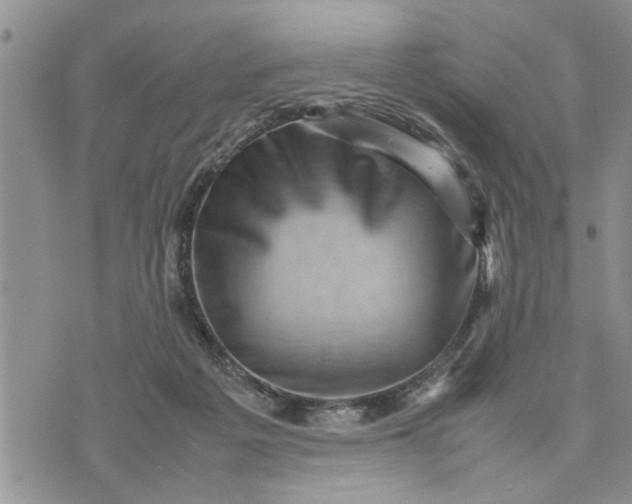 X0000075380217200609251200