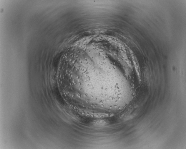 X0000075380218200609251200