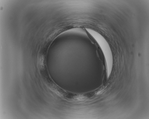 X0000075380219200609251200