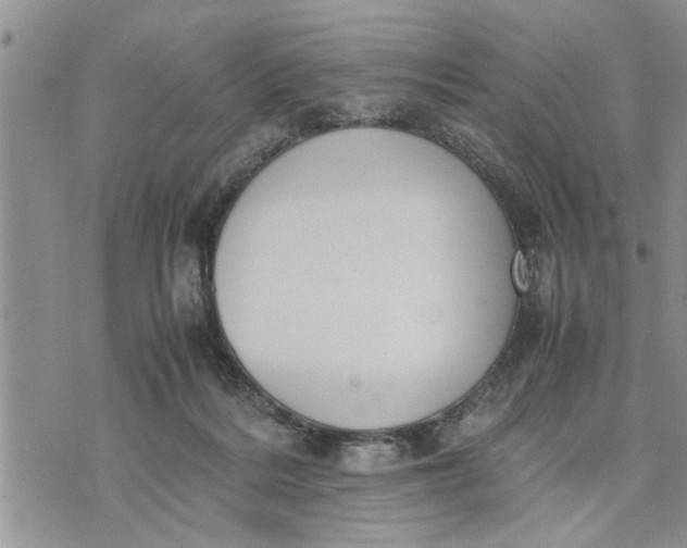 X0000075380220200609251200