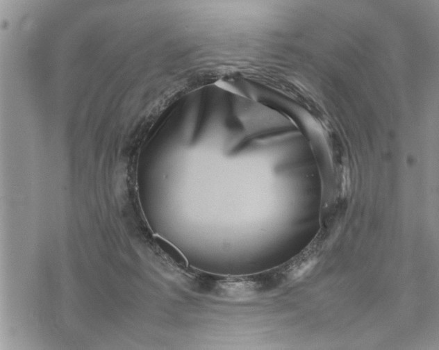 X0000075380221200609251200