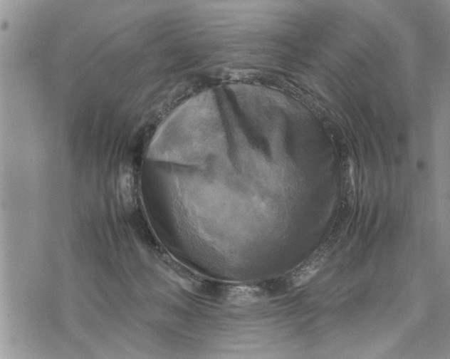 X0000075380222200609251200