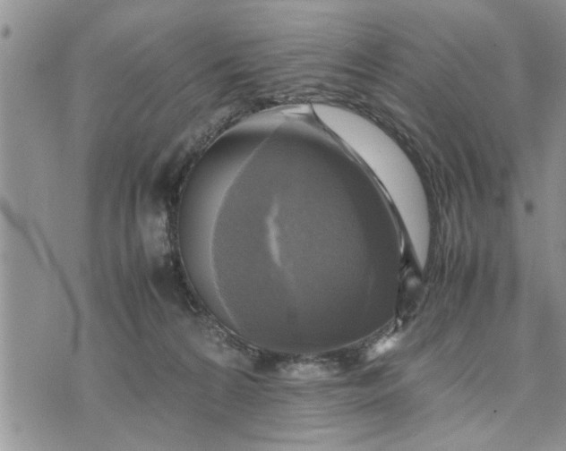 X0000075380224200609251200