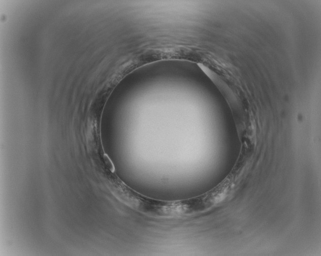 X0000075380225200609251200