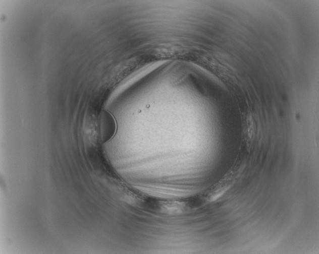 X0000075380226200609251200