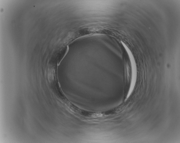 X0000075380227200609251200