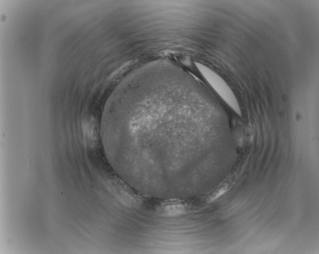 X0000075380228200609251200