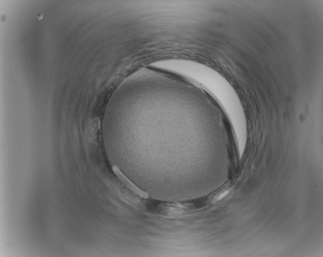 X0000075380229200609251200