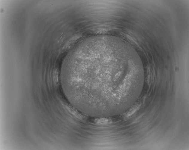 X0000075380230200609251200