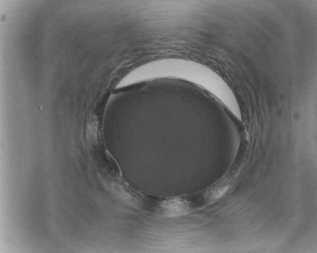 X0000075380231200609251200