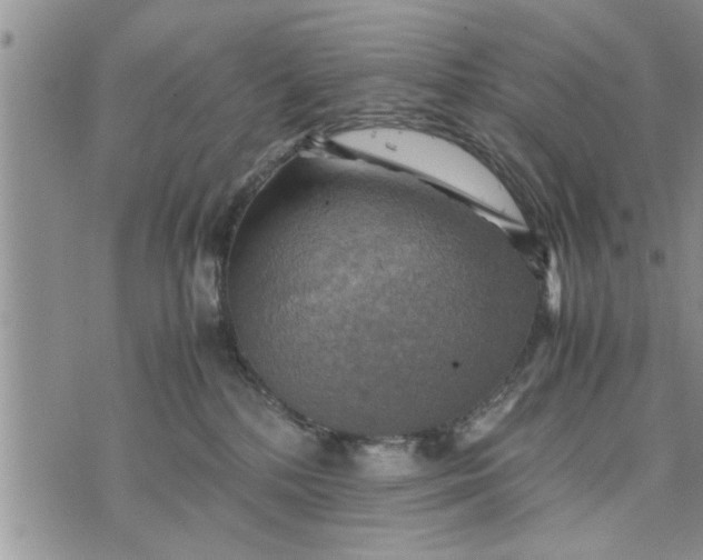 X0000075380232200609251200