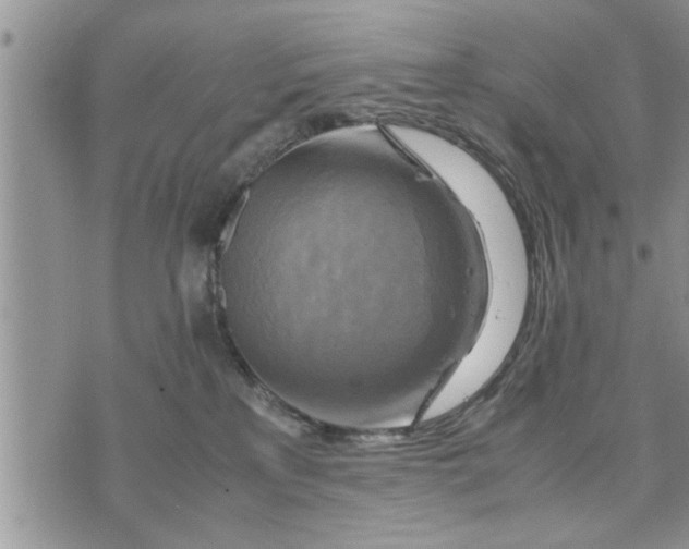 X0000075380233200609251200