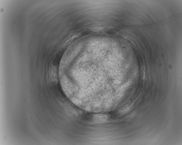 X0000075380234200609251200