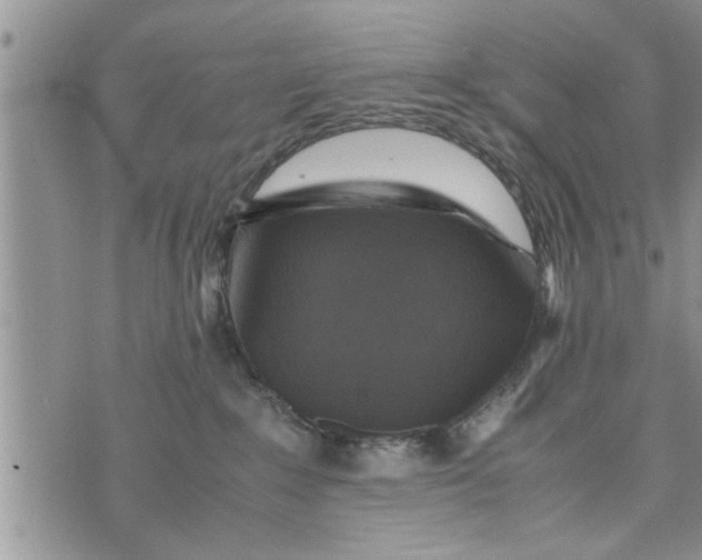 X0000075380235200609251200