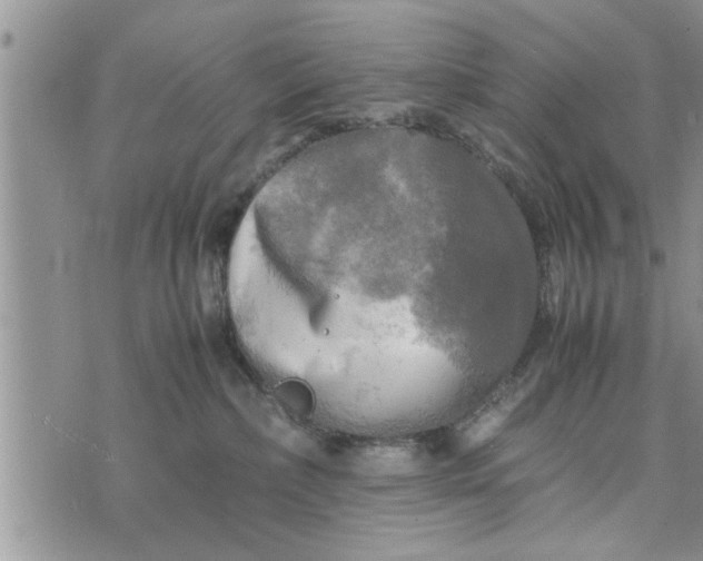 X0000075380236200609251200