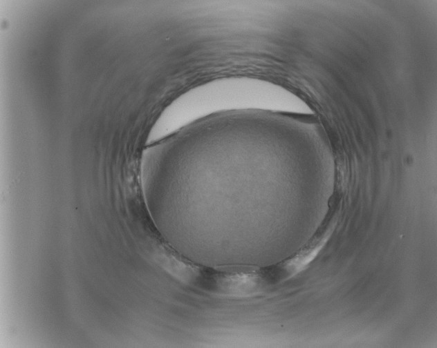 X0000075380237200609251200