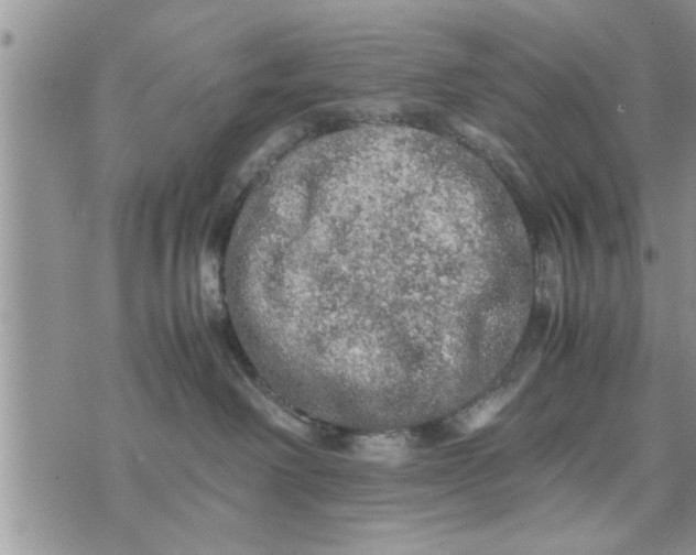 X0000075380238200609251200