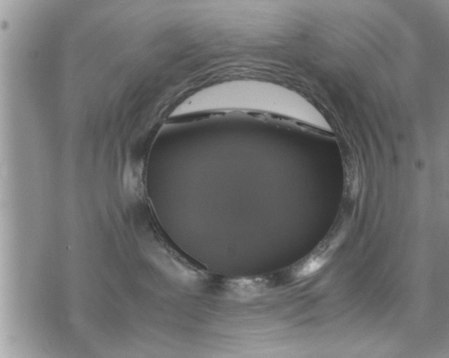 X0000075380239200609251200