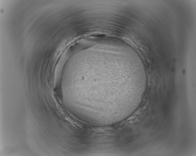 X0000075380241200609251159